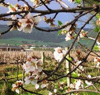 Cradle of Hills McLaren Vale Winery - Kawana Tourism