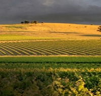 Kellermeister Wines - Kawana Tourism