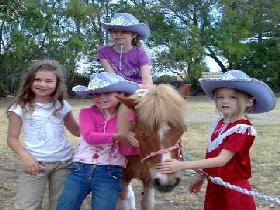 Amberainbow Pony Rides - Kawana Tourism 0
