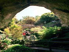 Engelbrecht Cave - Kawana Tourism 0