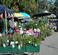 Meadows Monthly Market - Kawana Tourism