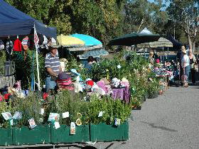 Meadows Monthly Market - Kawana Tourism 0