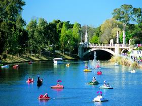 Captain Jolleys Paddle Boats - Kawana Tourism 0