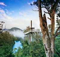Tahune Adventures Tasmania - Kawana Tourism