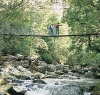 Arve Forest Drive - Kawana Tourism