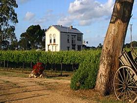 Highbank Vineyards - Kawana Tourism 0