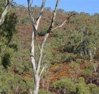 Black Hill Conservation Park - Kawana Tourism