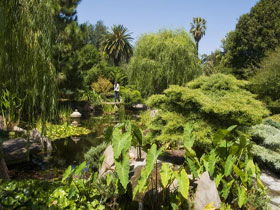 Adelaide Himeji Garden - Kawana Tourism 0