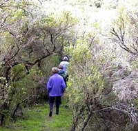 Jack And Hilda McArthur Walk - Kawana Tourism