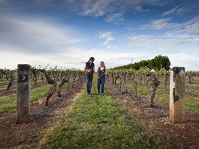 Coonawarra Wineries Walking Trail - Kawana Tourism 0