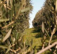Evilo Estate - Kawana Tourism