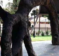 Old Gum Tree - Kawana Tourism