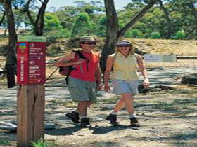 Riesling Trail - Kawana Tourism 0