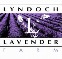 Lyndoch Lavender Farm and Cafe - Kawana Tourism