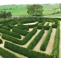 Mintaro Maze and Gift Shop - Kawana Tourism