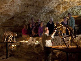 Naracoorte Caves National Park - Kawana Tourism 0