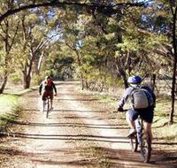 Bike About Mountain Bike Tours And Hire - Kawana Tourism