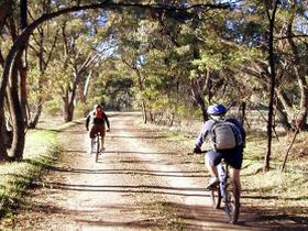 Bike About Mountain Bike Tours And Hire - Kawana Tourism 0