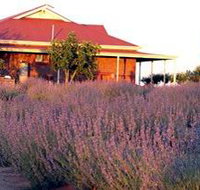 Bella Lavender Estate - Kawana Tourism