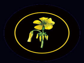 Battle Of Bosworth Wines - Kawana Tourism 0