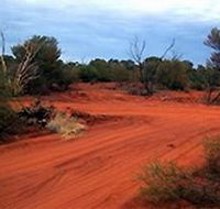 Tallaringa Conservation Park - Kawana Tourism