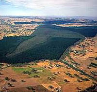 Mount Crawford Forest Reserve - Kawana Tourism