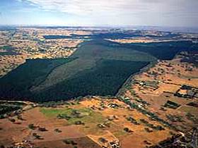 Mount Crawford Forest Reserve - Kawana Tourism 0