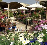 Serenity Nursery - Kawana Tourism