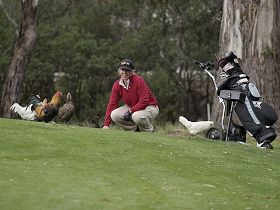 Tasmania Golf Club - The - Kawana Tourism 0