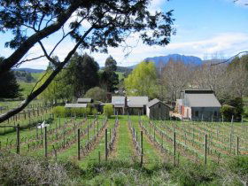 Wilmot TAS Kawana Tourism