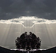 aart. Gallery of Fine Art - Kawana Tourism