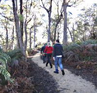 Bridport Walking Track - Kawana Tourism