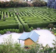 Westbury Maze and Tea Room - Kawana Tourism