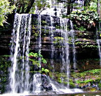 Mt Field National Park - Kawana Tourism