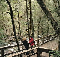 Franklin River Nature Trail - Kawana Tourism