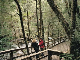 Franklin River Nature Trail - Kawana Tourism 0
