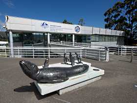 Australia's Antarctic Headquarters - Kawana Tourism 0