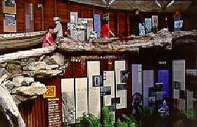 West Coast Visitor Information And Booking Centre - Kawana Tourism 0