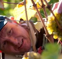 Puddleduck Vineyard - Kawana Tourism