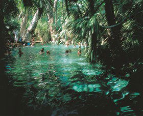 Mataranka Thermal Pool - Kawana Tourism 0