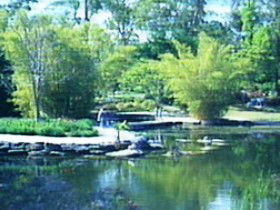 Summit Track - Kawana Tourism 0