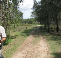Coombabah Lakes Conservation Area - Kawana Tourism