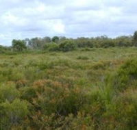 Pine Ridge Conservation Park - Kawana Tourism