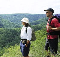 Sunshine Coast Hinterland Great Walk
