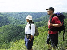 Sunshine Coast Hinterland Great! Walk - Kawana Tourism 0