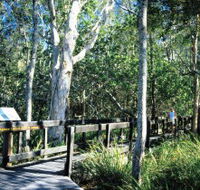 Kinaba Track - Kawana Tourism