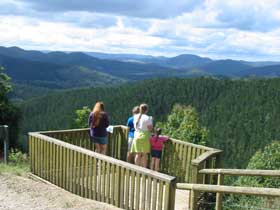 Kenilworth Forest Reserve - Kawana Tourism 0