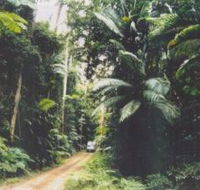 Conondale Great Walk - Kawana Tourism