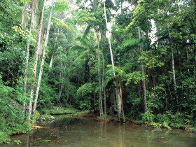 Mount Allan Trail - Kawana Tourism 0