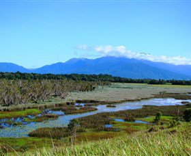Eubenangee Swamp National Park - Kawana Tourism 0